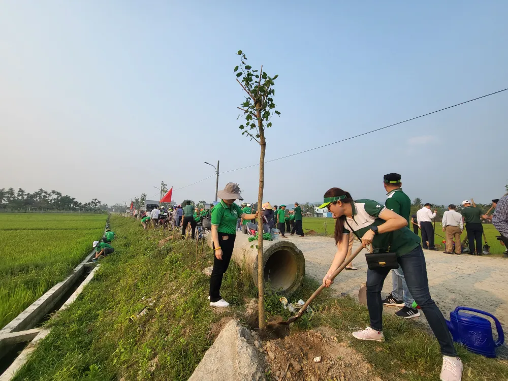 Cán bộ, nhân viên Vietcombank Đà Nẵng cùng người dân Hòa Khương trồng cây xanh Cán bộ, nhân viên Vietcombank Đà Nẵng cùng người dân Hòa Khương trồng cây xanh
