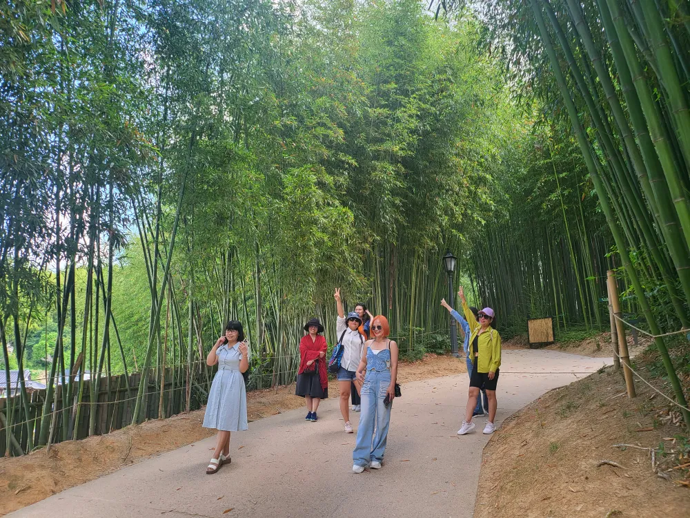 Rừng trúc Juknokwon (Bamboo Forest) ở Jeollanamdo (Hàn Quốc) là một trong những điểm đến hấp dẫn đối với du khách