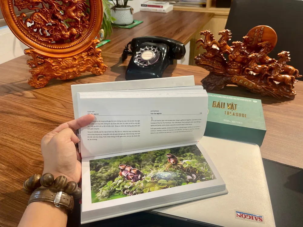 “Báu vật – Treasure” là món quà tinh thần, là lời mời gọi mỗi người dừng lại, ngắm nhìn và lắng nghe nhịp thở của rừng xanh, biển biếc Báu Vật 5.jpg