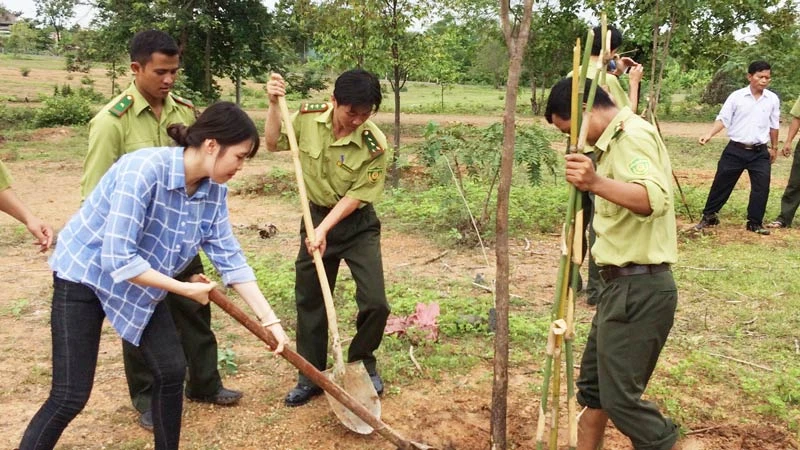 Lực lượng kiểm lâm VQG Yok Đôn và phóng viên báo chí tham gia trồng cây. Ảnh CÔNG HOAN