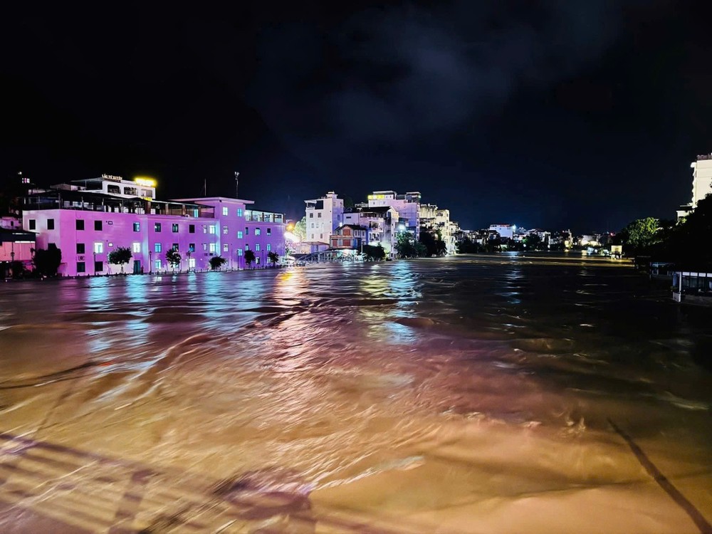 流经宣光省河江的卢江发生大洪水。