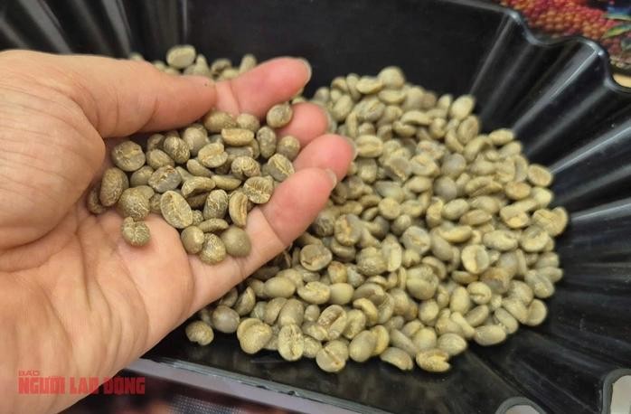 10月24日，咖啡价格走势充满戏剧性。