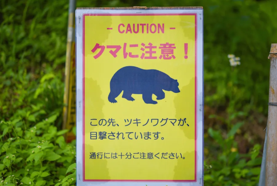 近期日本各地频繁发生熊袭人事件。