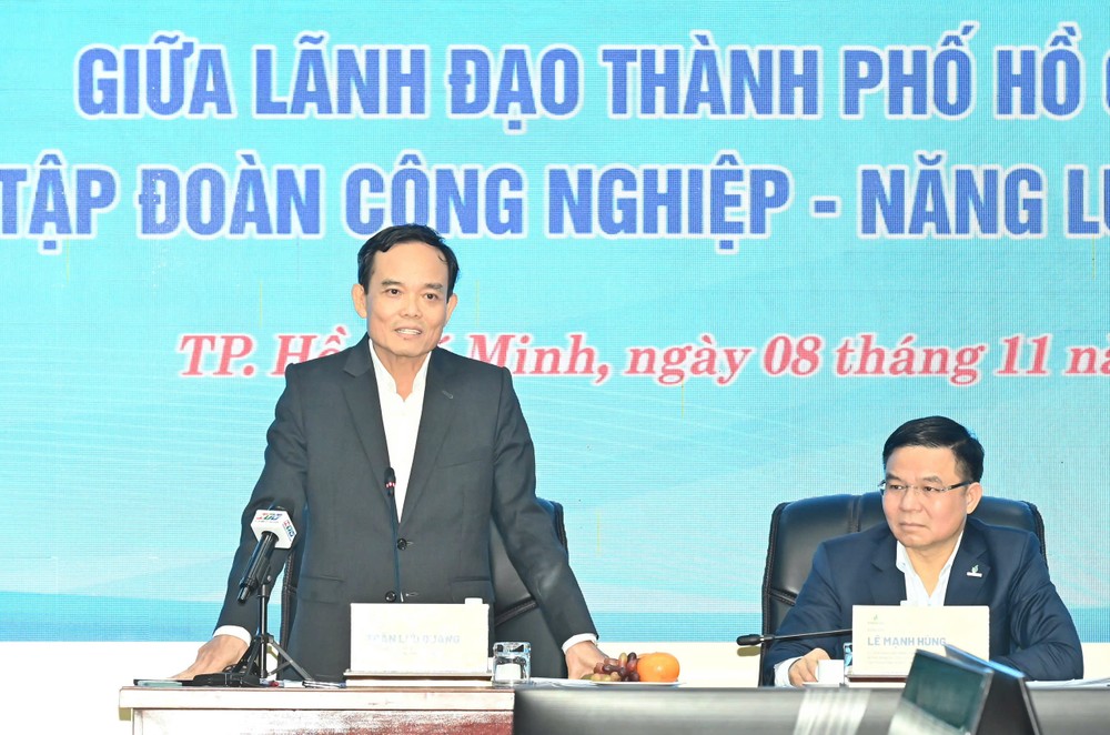 胡志明市市委书记陈留光发表结论。图：越勇