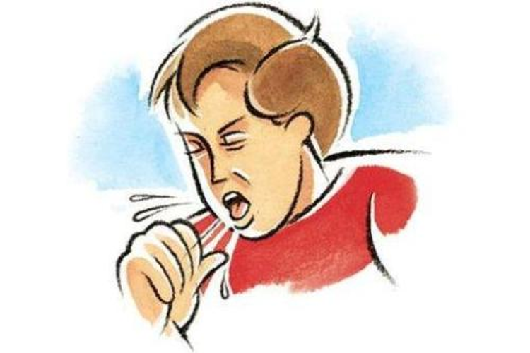 调理脾胃成秋冬防咳关键。