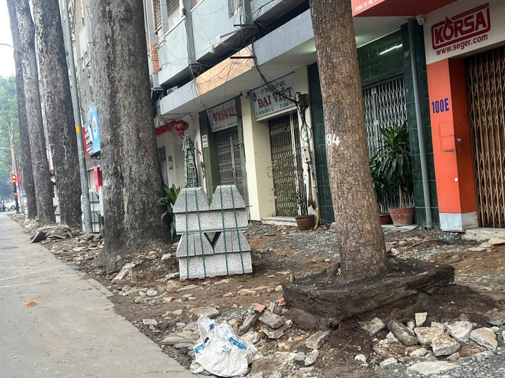 胡志明市堤岸坊雄王街人行道施工侵犯行道树。