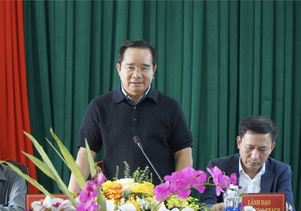  胡志明市人委会主席阮文得在与上泽乡领导的工作会议上发表讲话。