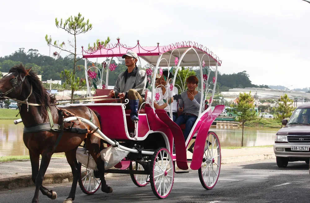 Du khách ùn ùn đổ về Đà Lạt nghỉ lễ ảnh 5