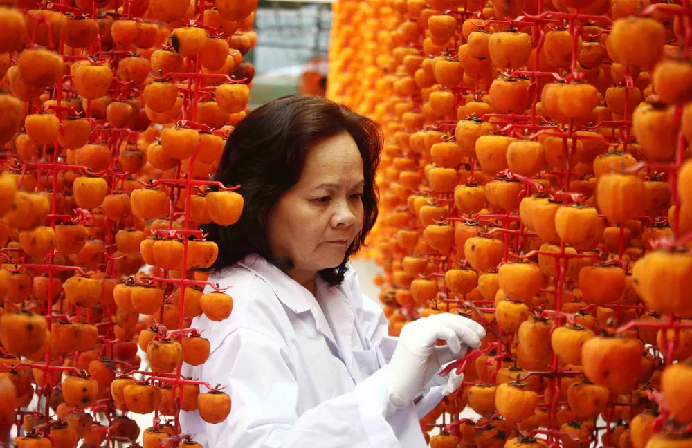 Rộn ràng mùa trái hồng ở Đà Lạt ảnh 13