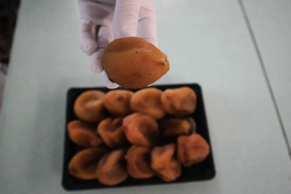 Nghề làm hồng treo đặc sản Đà Lạt ảnh 12