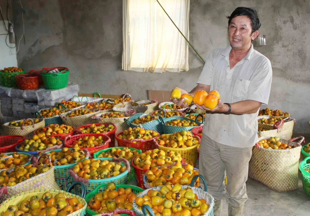 Nghề làm hồng treo đặc sản Đà Lạt ảnh 1