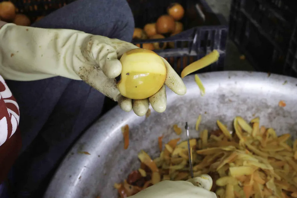 Nghề làm hồng treo đặc sản Đà Lạt ảnh 3