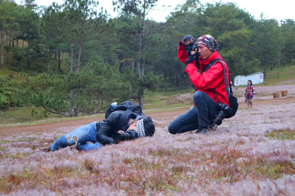 Rộn ràng mùa hội cỏ hồng Đà Lạt 2017 ảnh 6