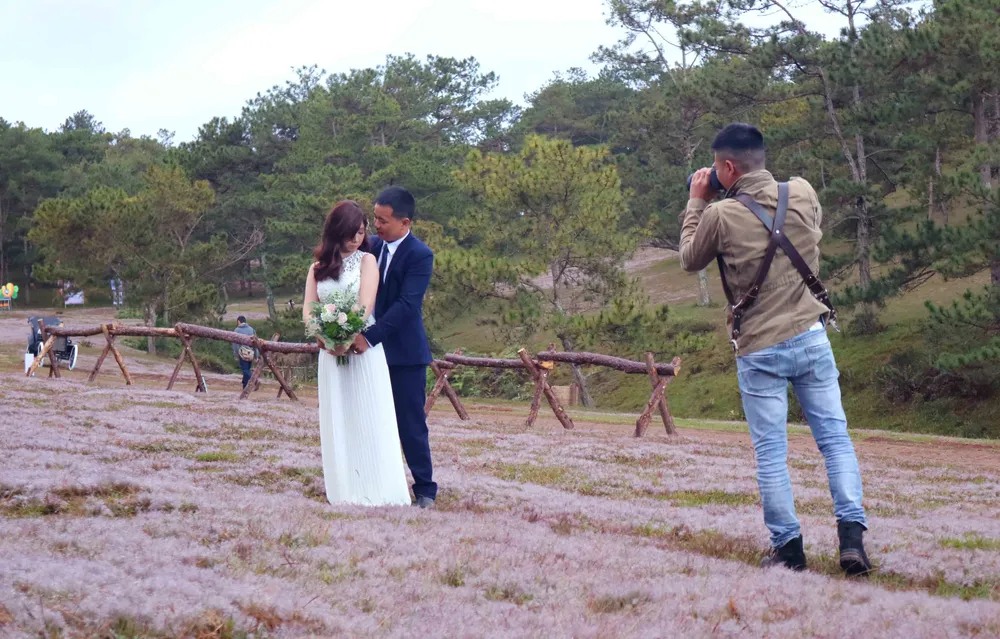 Rộn ràng mùa hội cỏ hồng Đà Lạt 2017 ảnh 7