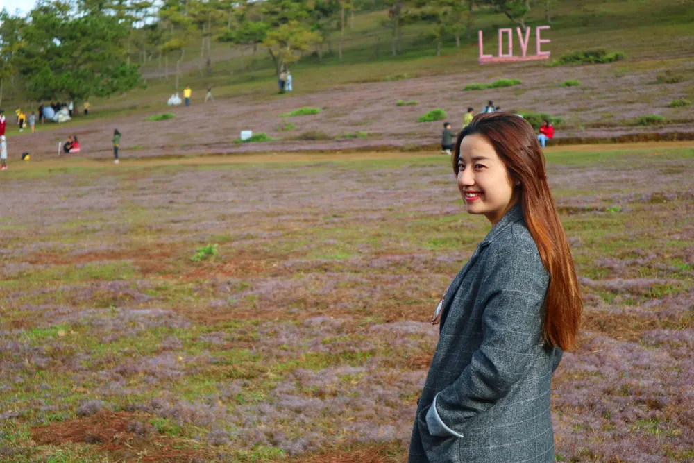 Rộn ràng mùa hội cỏ hồng Đà Lạt 2017 ảnh 9