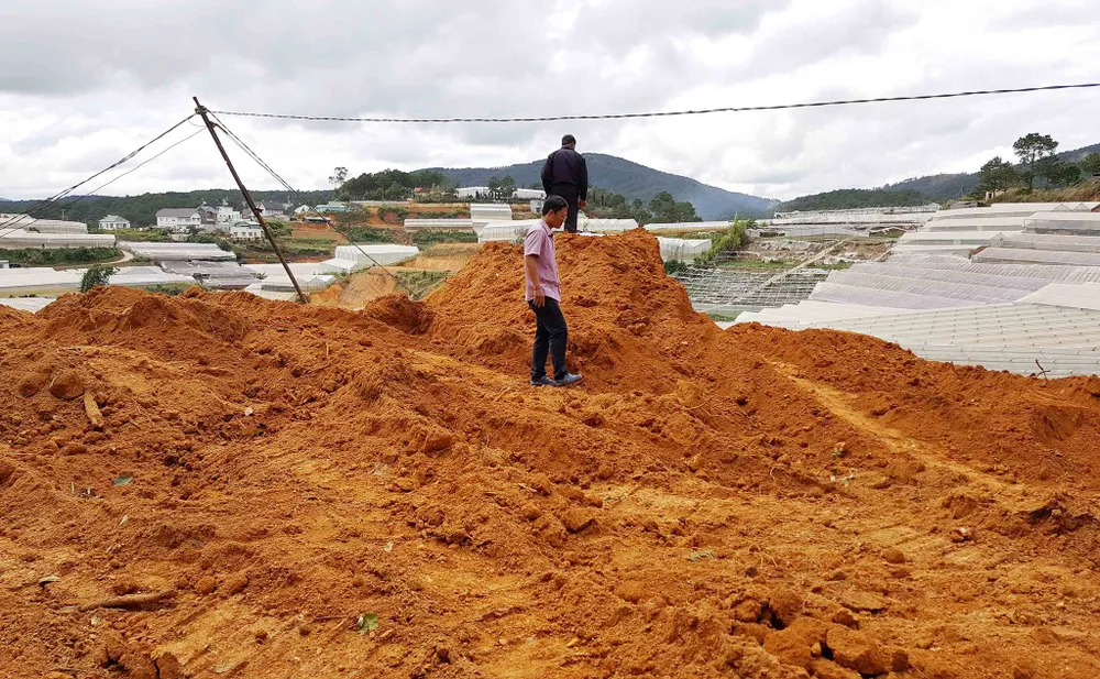 Tạm giữ 2 xe cơ giới san ủi đất rừng trái phép ở Đà Lạt ảnh 2