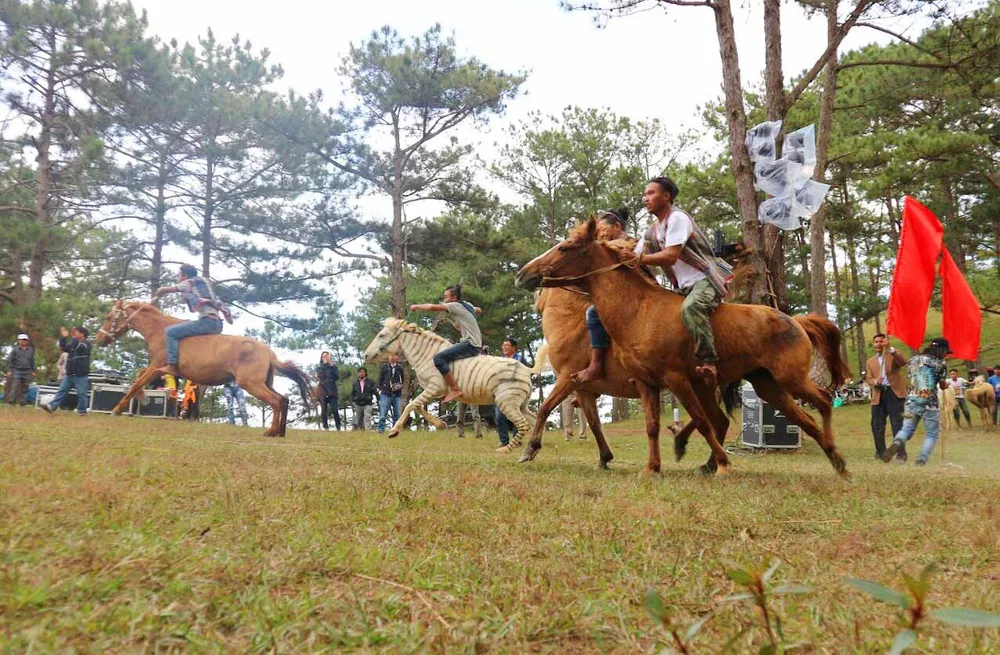 Độc đáo giải đua ngựa không yên ở Đà Lạt ảnh 3