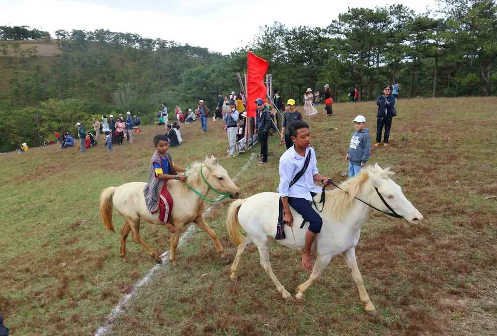 Độc đáo giải đua ngựa không yên ở Đà Lạt ảnh 5