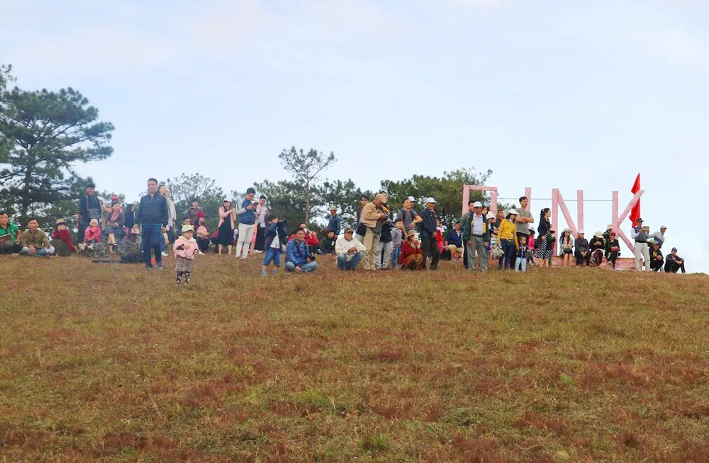 Độc đáo giải đua ngựa không yên ở Đà Lạt ảnh 7