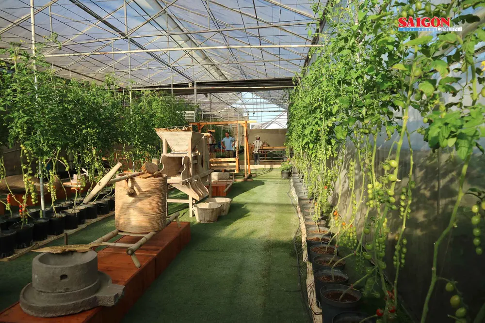 Nông trại Đà Lạt thu nhỏ trong “hộp xanh“ ảnh 12