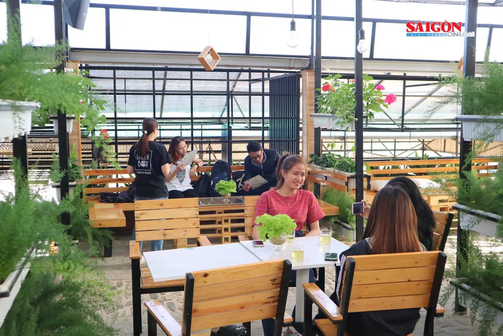 Nông trại Đà Lạt thu nhỏ trong “hộp xanh“ ảnh 14