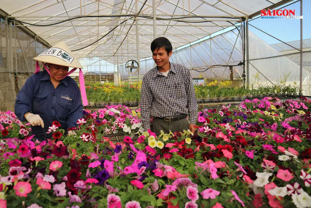 Nông trại Đà Lạt thu nhỏ trong “hộp xanh“ ảnh 6