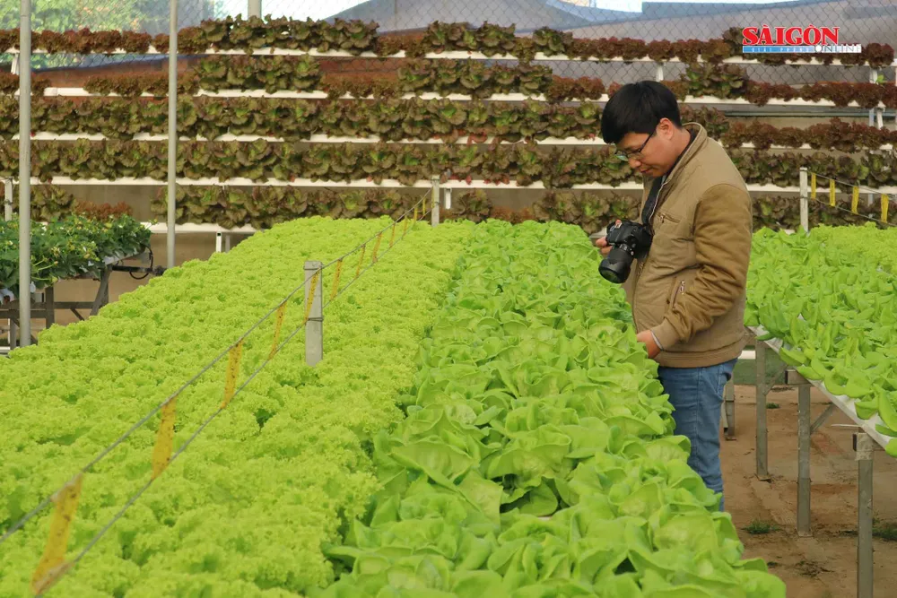 Nông trại Đà Lạt thu nhỏ trong “hộp xanh“ ảnh 8