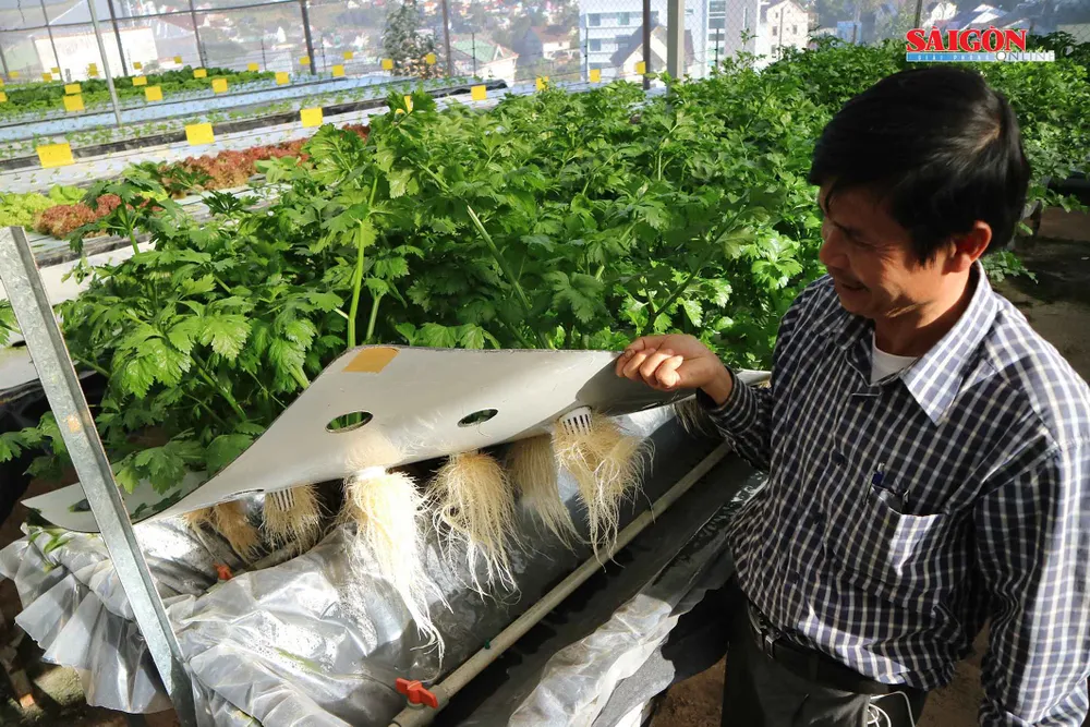 Nông trại Đà Lạt thu nhỏ trong “hộp xanh“ ảnh 9