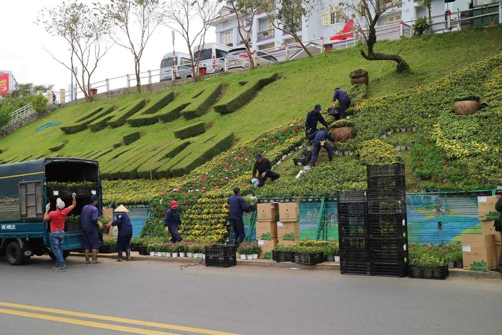 Hoa Đà Lạt tấp nập xuống phố trước thềm lễ hội ảnh 7