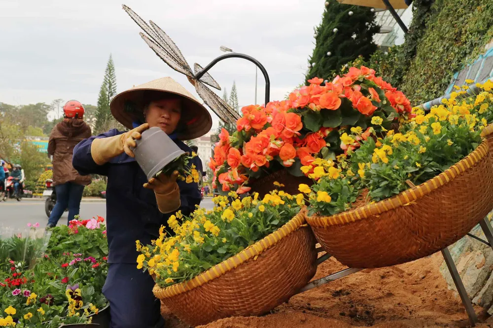 Hoa Đà Lạt tấp nập xuống phố trước thềm lễ hội ảnh 4