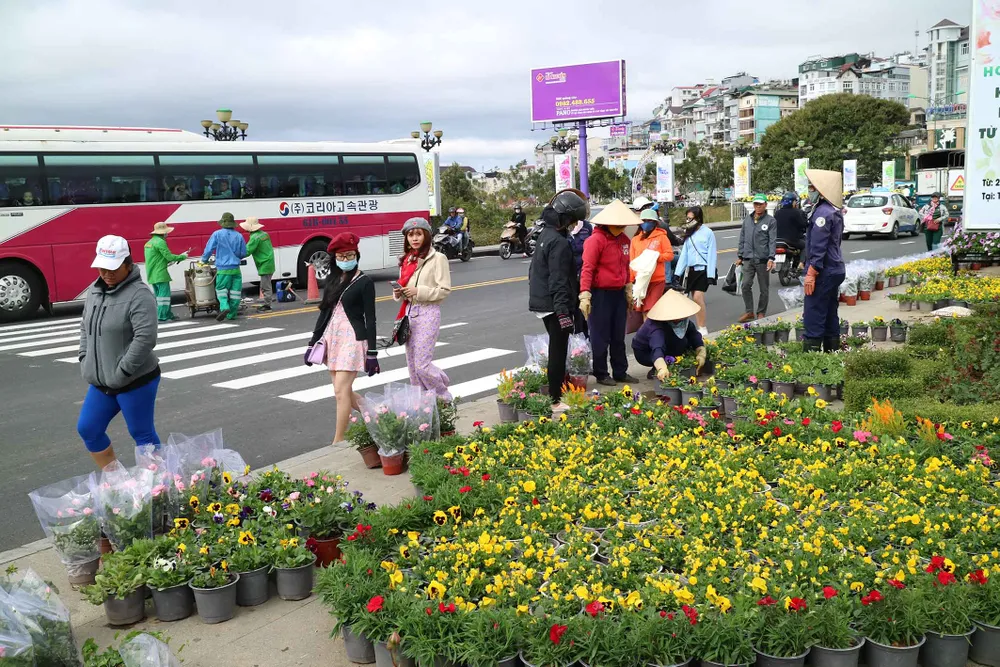 Hoa Đà Lạt tấp nập xuống phố trước thềm lễ hội ảnh 5