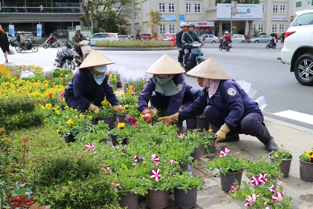 Hoa Đà Lạt tấp nập xuống phố trước thềm lễ hội ảnh 6