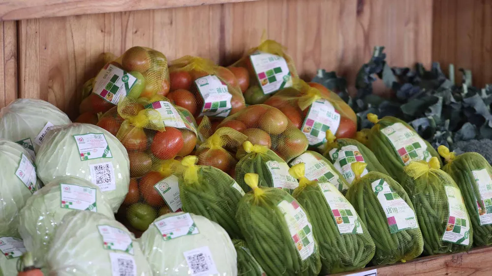 VIDEO: Du khách thăm vườn rau, hoa công nghệ cao giữa phố Đà Lạt ảnh 10