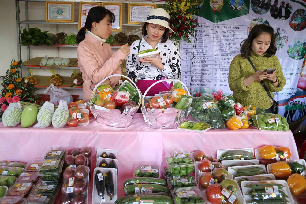 VIDEO: Du khách thăm vườn rau, hoa công nghệ cao giữa phố Đà Lạt ảnh 6