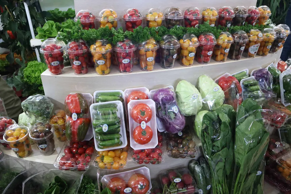 VIDEO: Du khách thăm vườn rau, hoa công nghệ cao giữa phố Đà Lạt ảnh 9