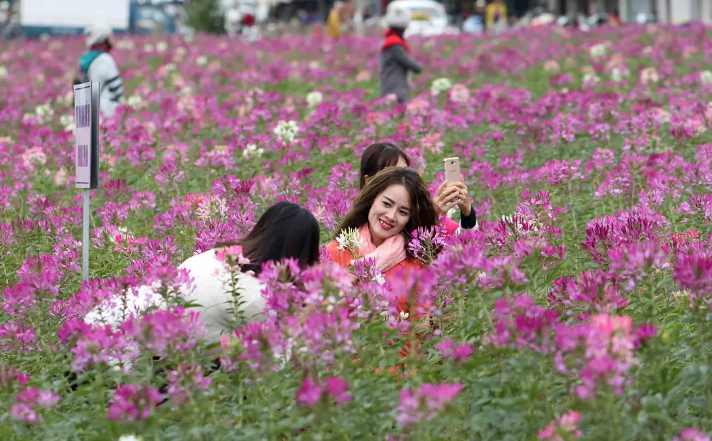 Du khách đổ về dự lễ hội hoa, nhiều dịch vụ tại Đà Lạt quá tải ảnh 6