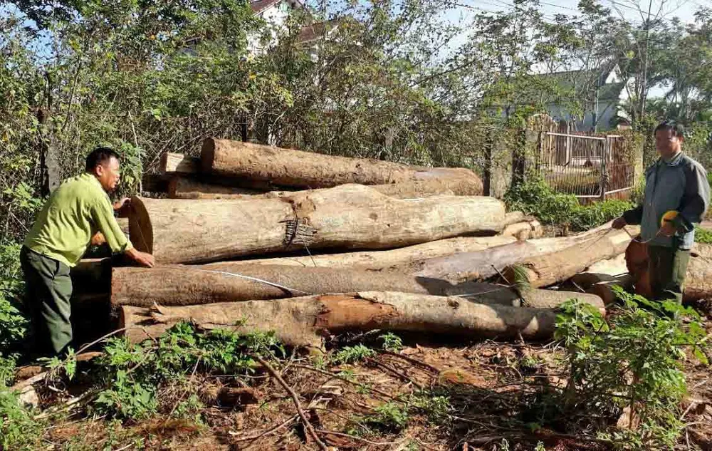 Xe cẩu ngang nhiên vào hồ thủy điện vận chuyển gỗ lậu ảnh 3