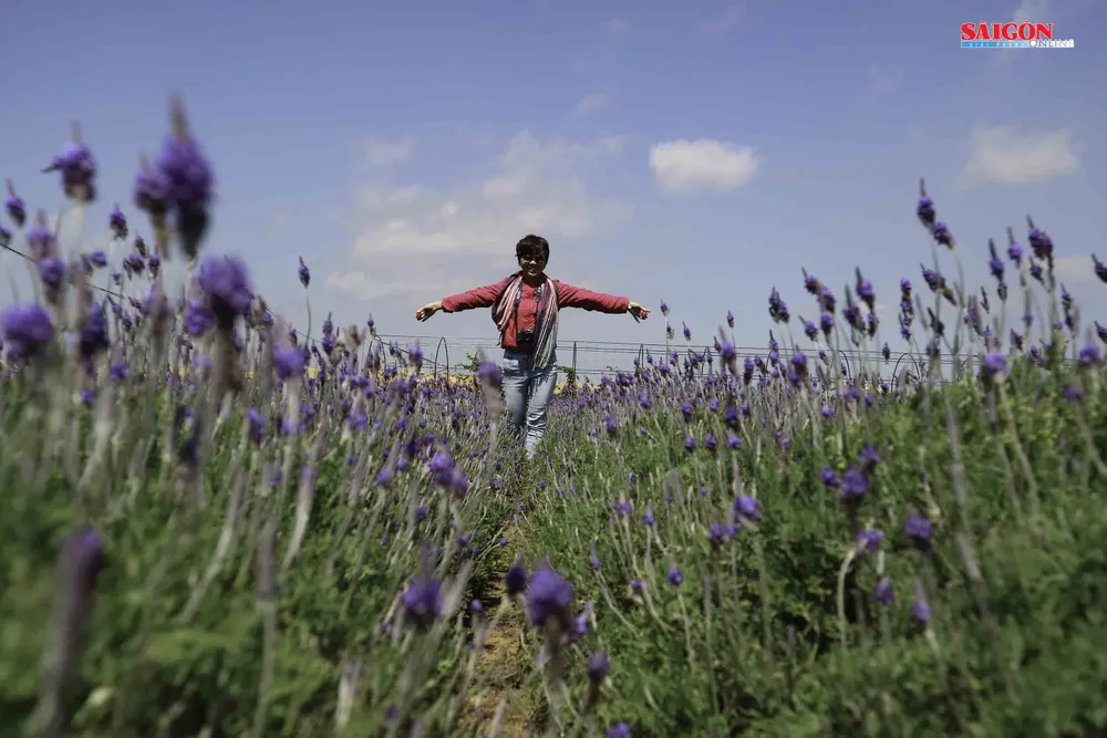 Không gian mới lạ trên vùng trà cổ Cầu Đất - Đà Lạt ảnh 13