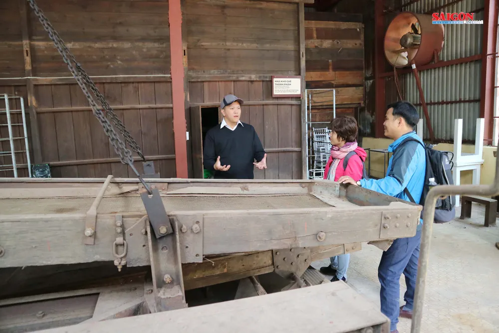 Không gian mới lạ trên vùng trà cổ Cầu Đất - Đà Lạt ảnh 4