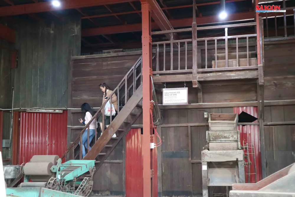 Không gian mới lạ trên vùng trà cổ Cầu Đất - Đà Lạt ảnh 5