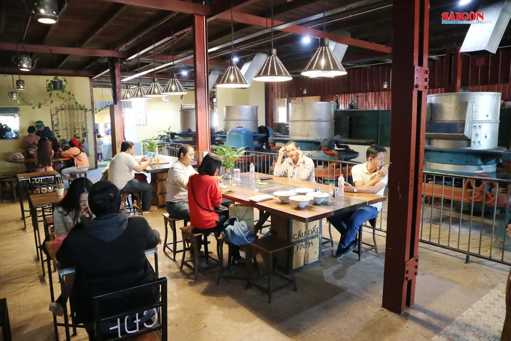 Không gian mới lạ trên vùng trà cổ Cầu Đất - Đà Lạt ảnh 1