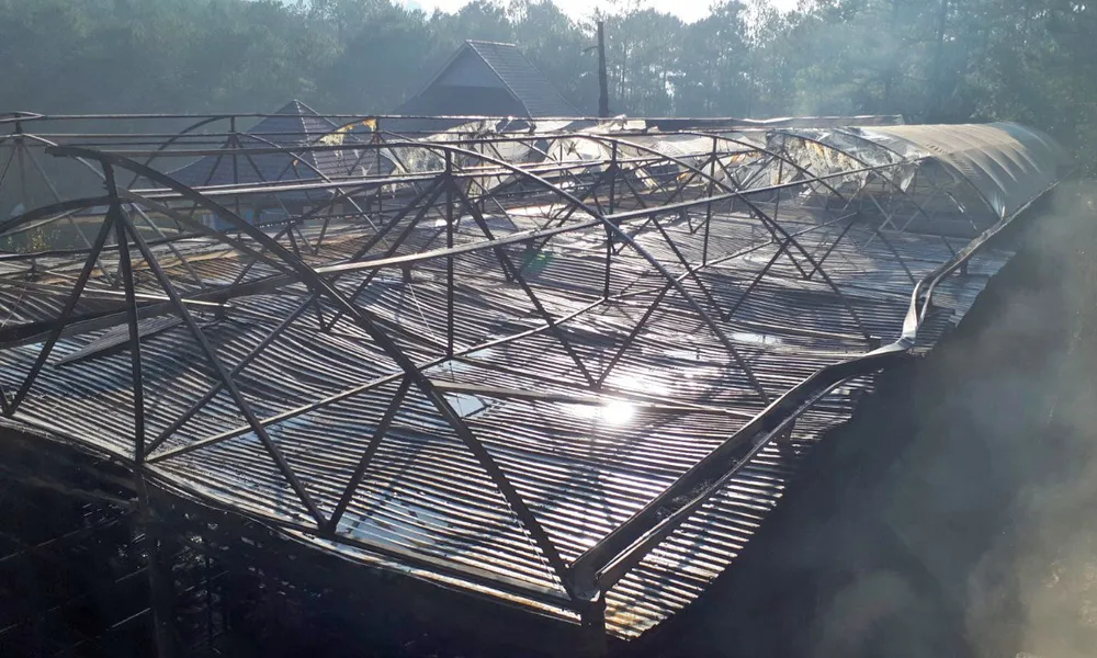 Cháy lớn tại Công ty sâm Ngọc Linh Việt Nam ảnh 2