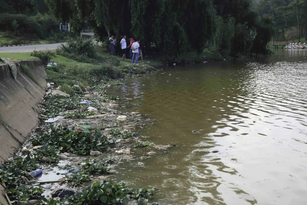 Rác thải bủa vây hồ Than Thở - Đà Lạt ảnh 11