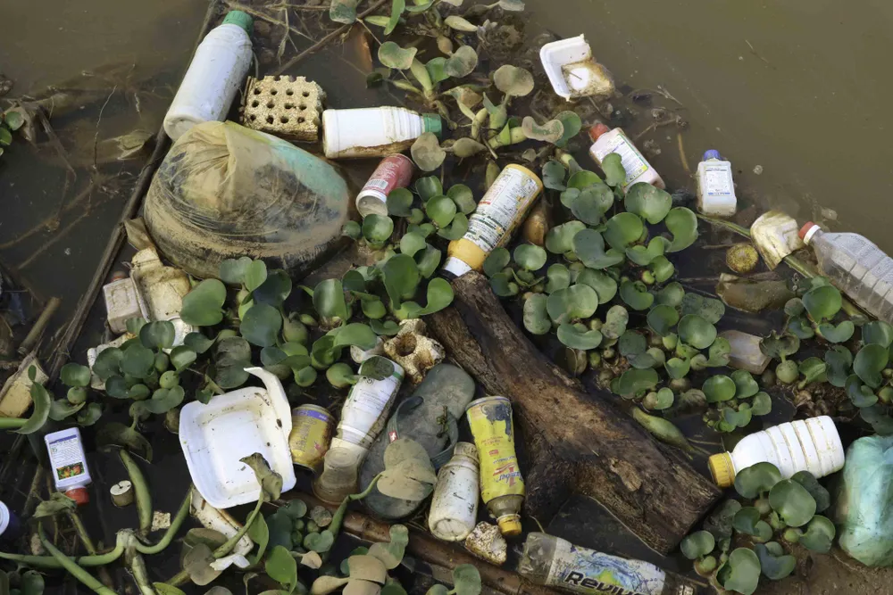Rác thải bủa vây hồ Than Thở - Đà Lạt ảnh 9