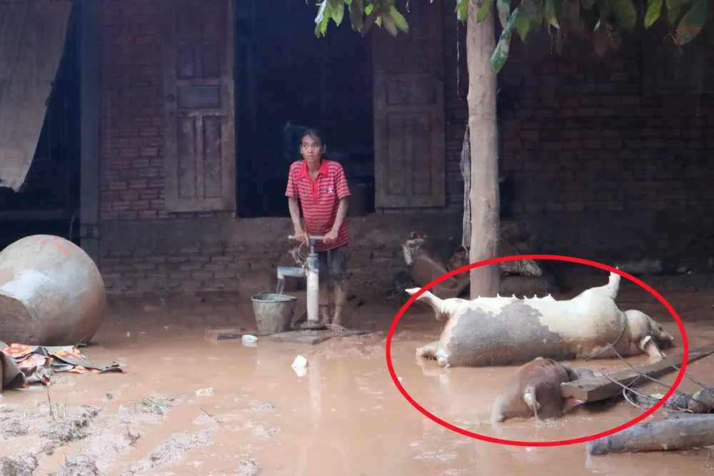 Môi trường tại khu vực vỡ đập thủy điện ở Lào đứng trước nguy cơ ô nhiễm ảnh 1