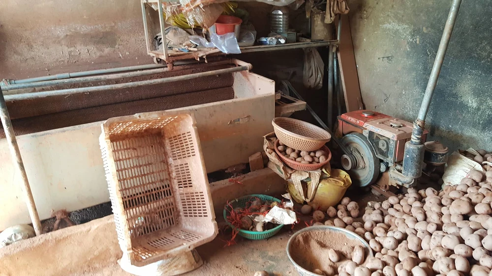 Bắt quả tang trộn đất vào khoai tây Trung Quốc để bán giá cao ảnh 5 Bắt quả tang trộn đất vào khoai tây Trung Quốc để bán giá cao ảnh 5