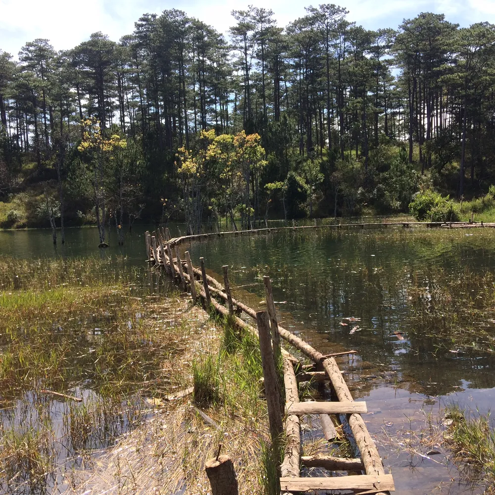 Buộc tháo dỡ “phim trường” trái phép trên hồ Tuyền Lâm - Đà Lạt ảnh 4