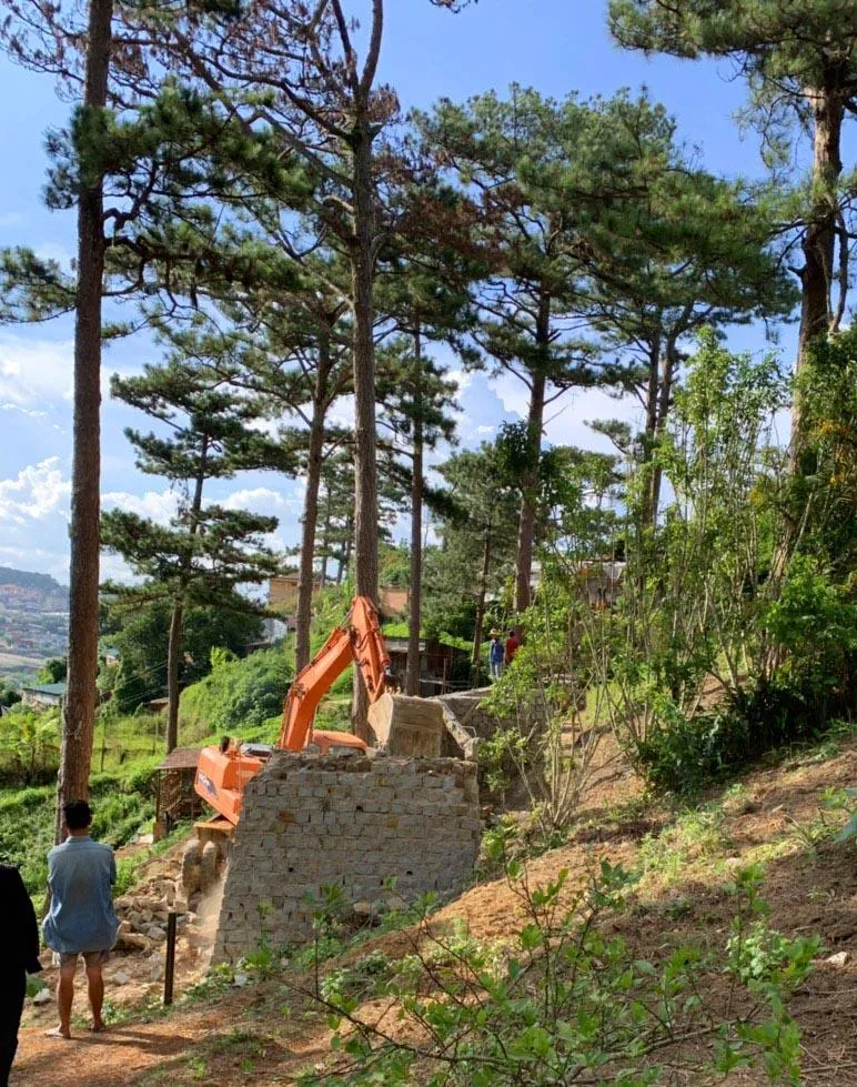 Giải toả nhiều công trình trái phép dưới tán rừng thông ở Đà Lạt ảnh 2