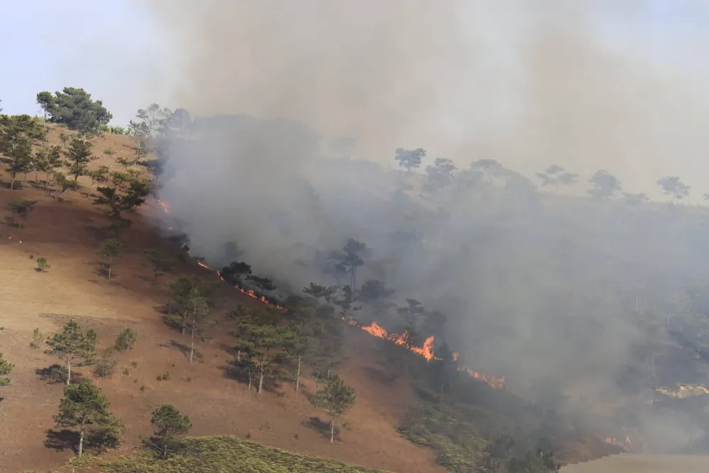 Khống chế đám cháy thực bì tại đồi Nguyễn Hoàng (Đà Lạt) ảnh 1