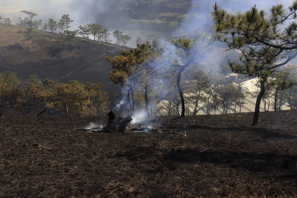 Khống chế đám cháy thực bì tại đồi Nguyễn Hoàng (Đà Lạt) ảnh 3